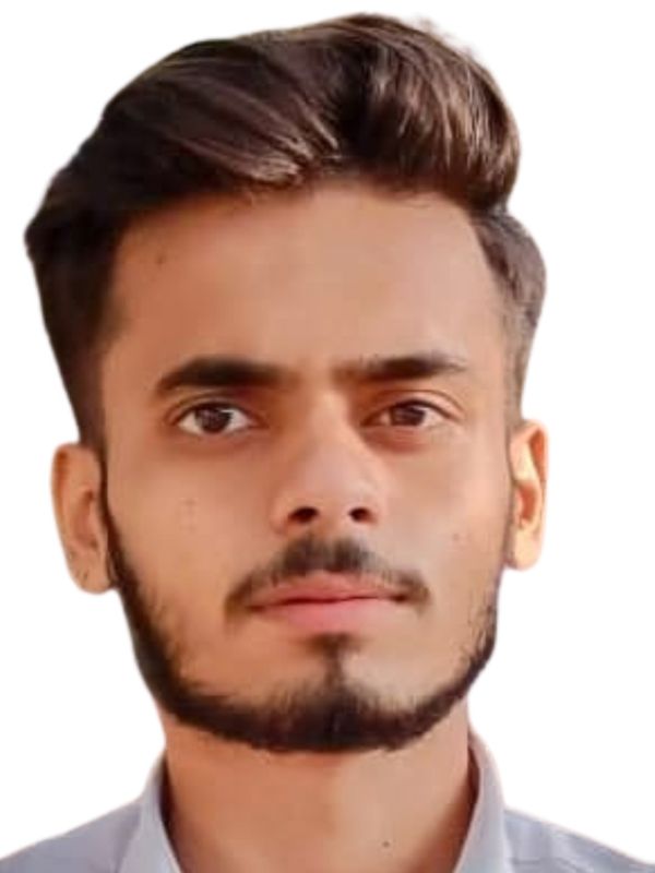 Ajit Singh Solanki Online Resume FlowCV Ajit singh solanki online resume flowcv