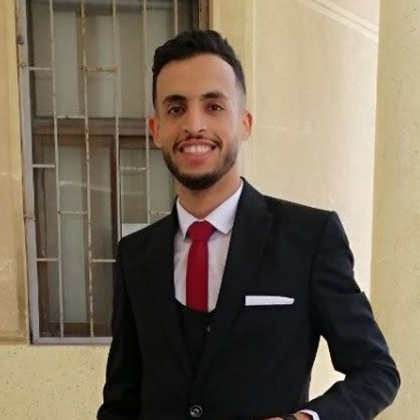 Mohamed elsayed elshenawy online resume flowcv