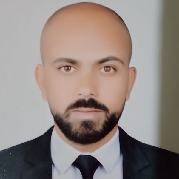 Emadeldin Adel Ibrahim Fouad, Online Resume – FlowCV