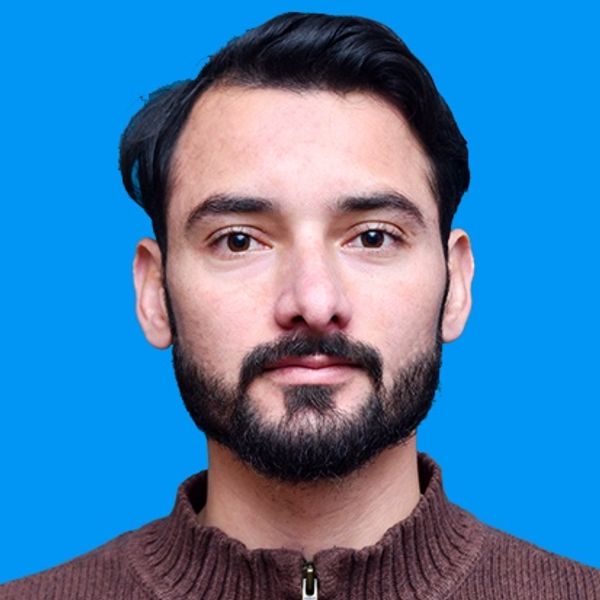 Malik Nasir Hussain, Online Resume – FlowCV