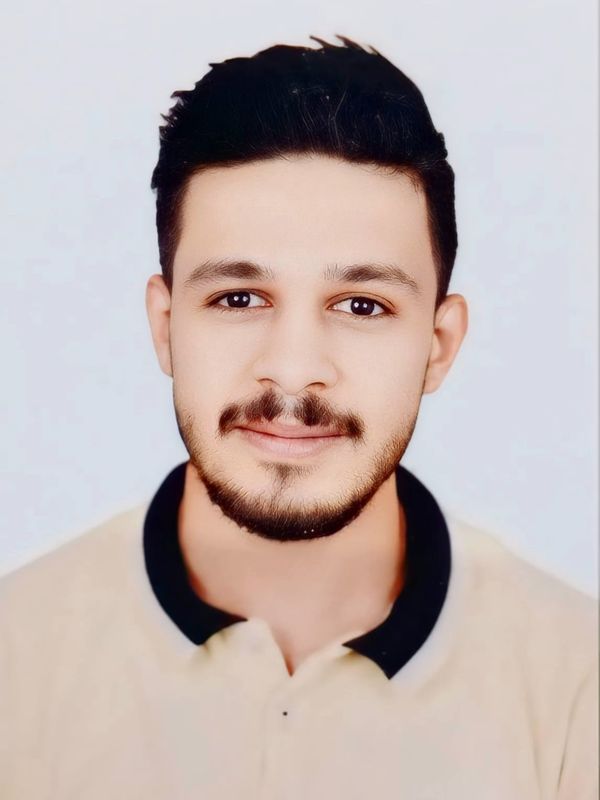 Mostafa Ahmed Noaman, Online Resume – FlowCV